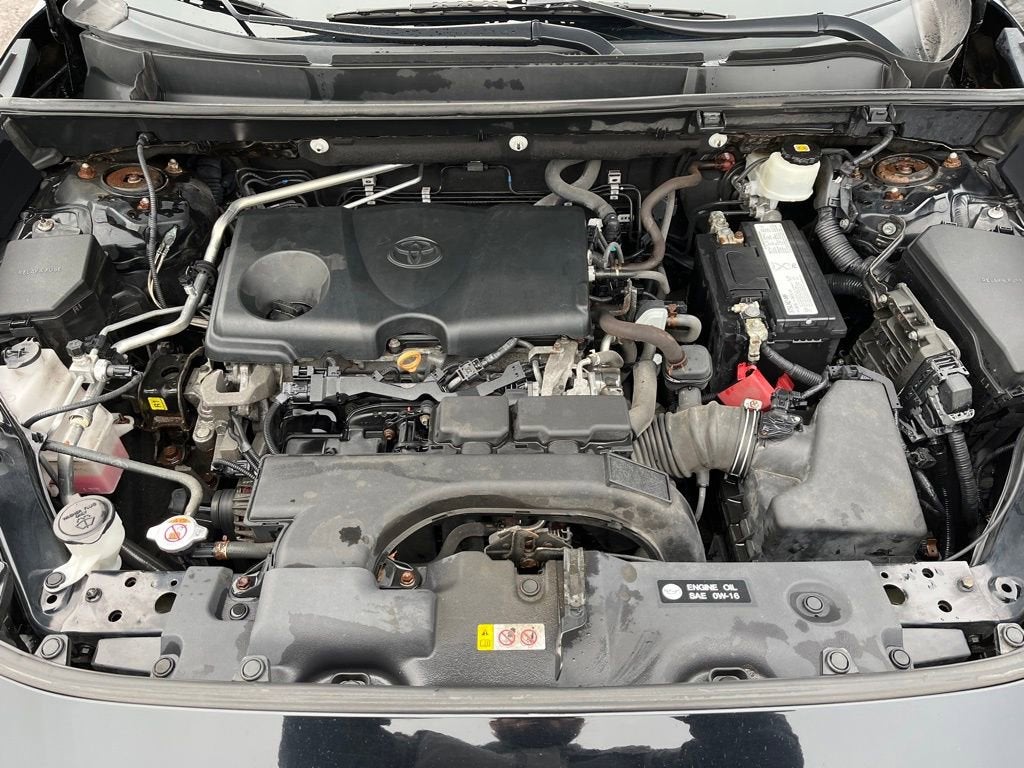 2019 Toyota RAV4 XLE